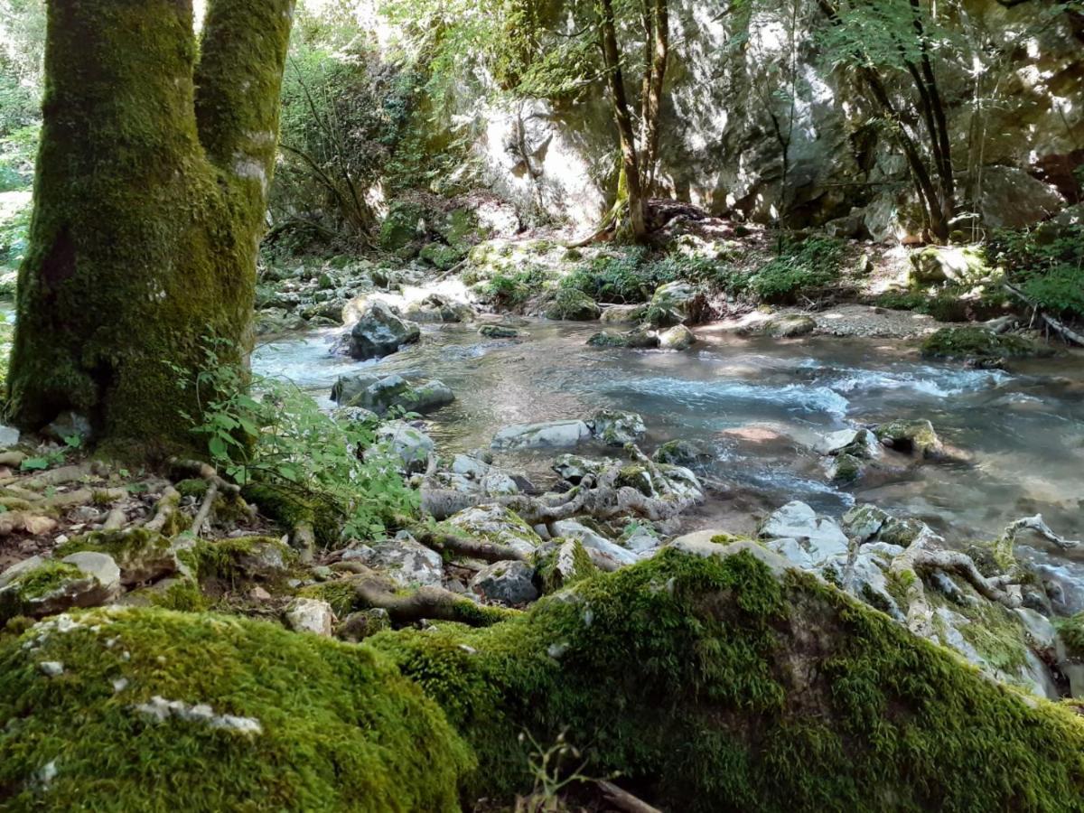 Casetta Nel Borgo Olevano Romano Extérieur photo