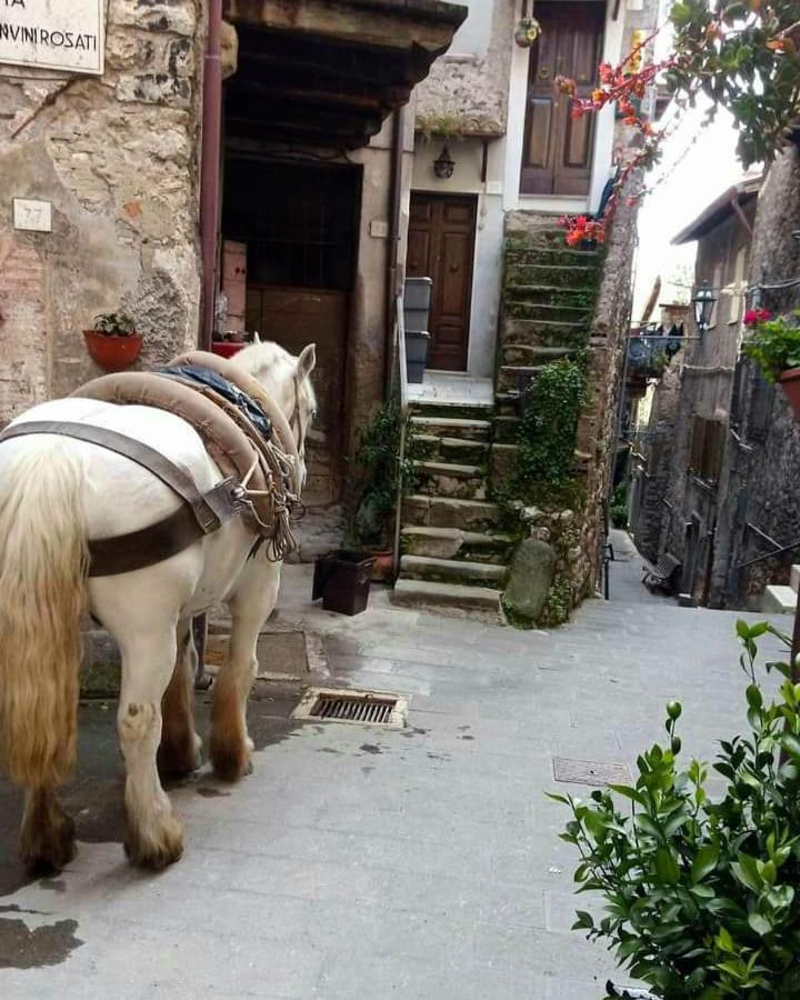Casetta Nel Borgo Olevano Romano Extérieur photo