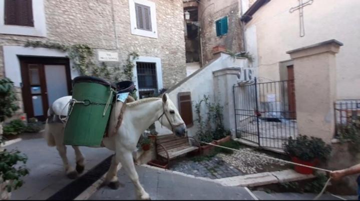 Casetta Nel Borgo Olevano Romano Extérieur photo