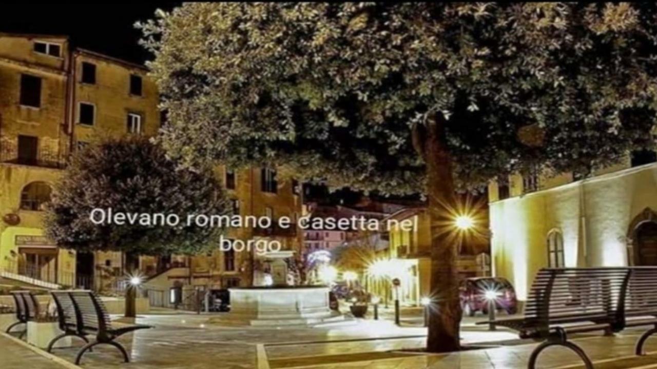 Casetta Nel Borgo Olevano Romano Extérieur photo
